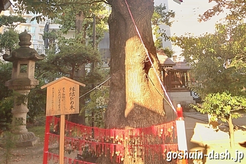 三輪神社(名古屋大須)縁結びの木(御神木)